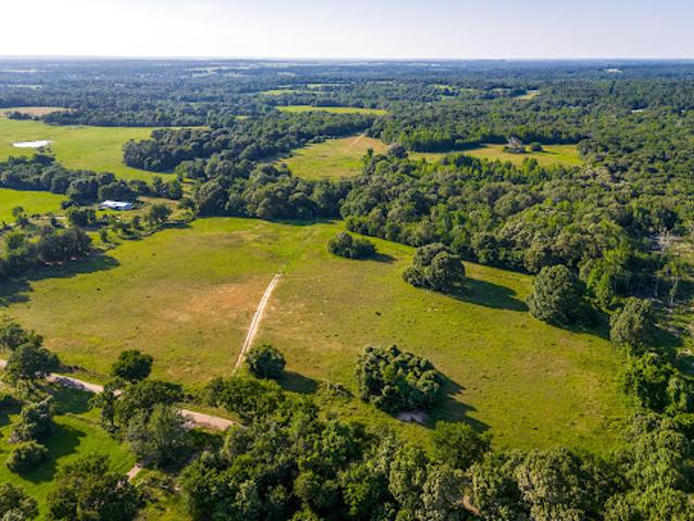 Farm for sale in Montalba, Texas