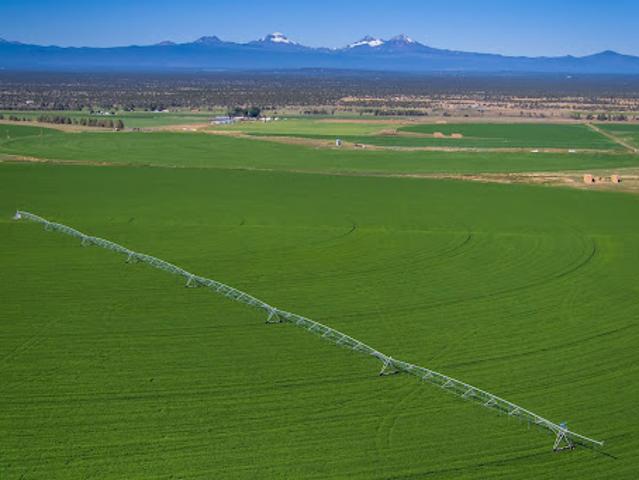 Farm for sale in Oregonia