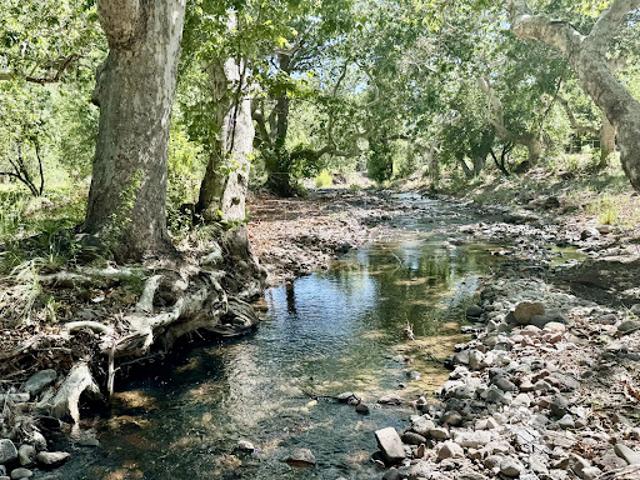 Farm for sale in Catron, New Mexico