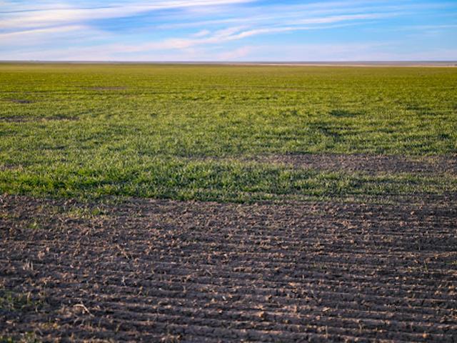 Farm for sale in Haswell, Colorado