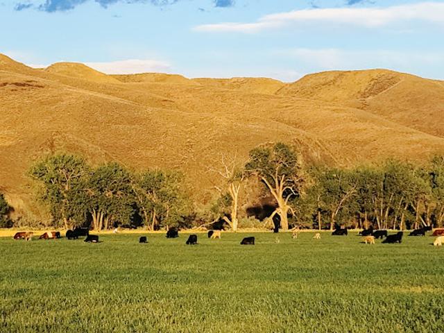 Farm for sale in Fort Benton, Montana