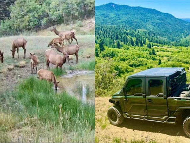 Farm for sale in Chama, Rio Arriba County