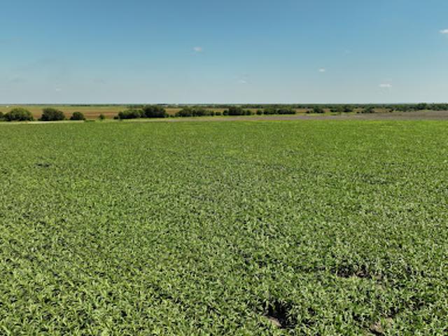 Farm for sale in La Pryor, Zavala County