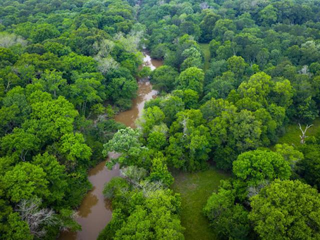 Farm for sale in Wood, Texas