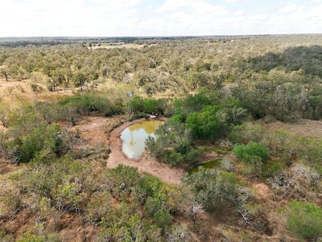 Farm for sale in Nixon, Gonzales County