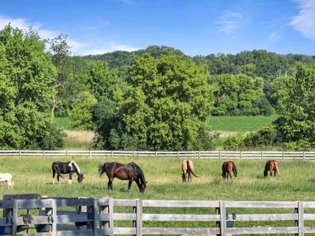 Farm for sale in Burlington, Wisconsin