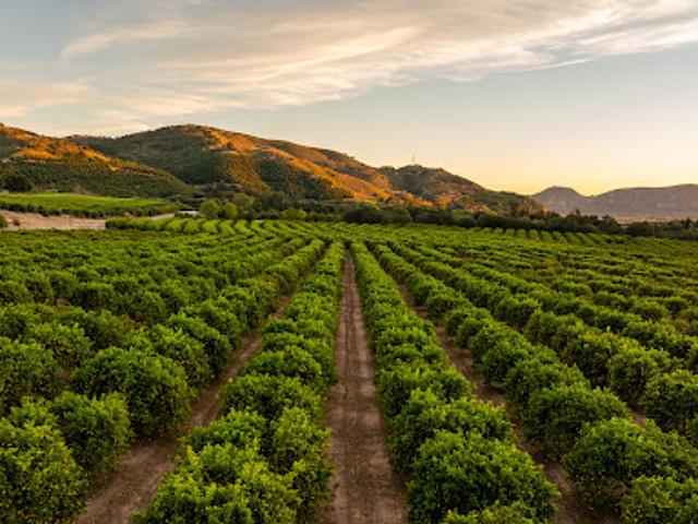 Farm for sale in Fillmore, California