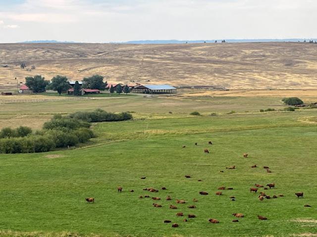 Farm for sale in Oregonia