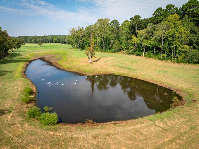 Farm for sale in Palestine, Texas