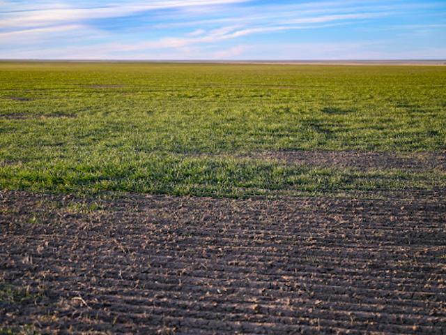 Farm for sale in Haswell, Colorado