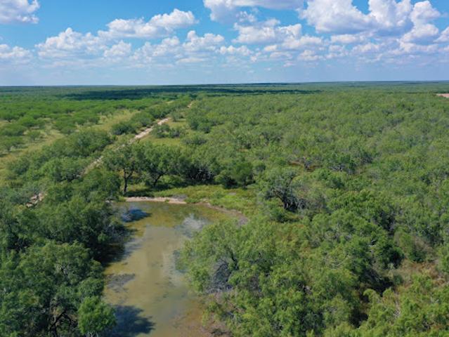 Farm for sale in Hidalgo, Texas