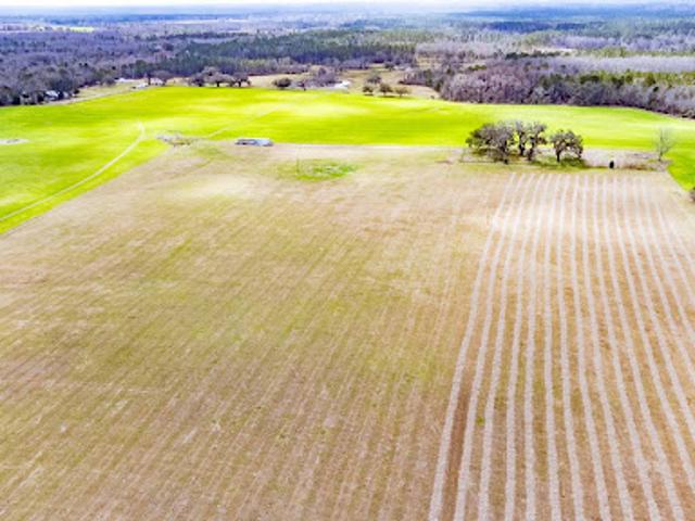 Farm for sale in Greenville, Florida