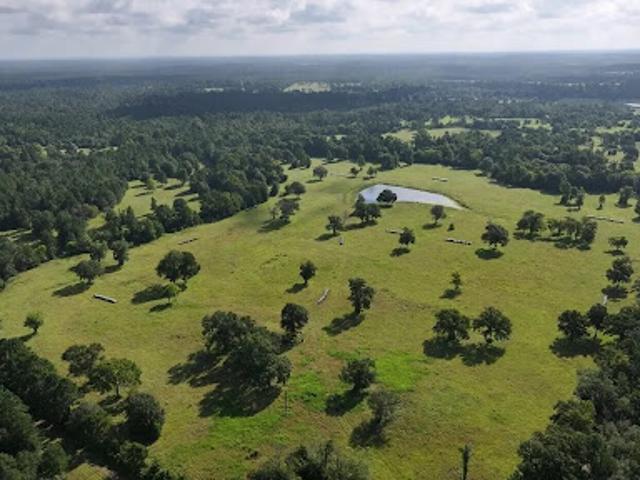 Farm for sale in Walker, Texas