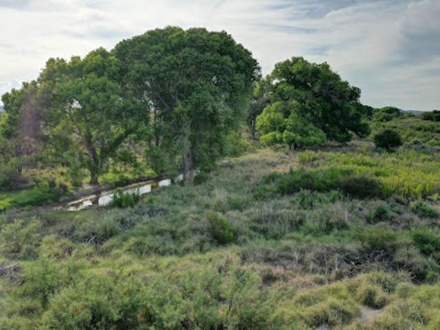 Farm for sale in Marfa, Texas