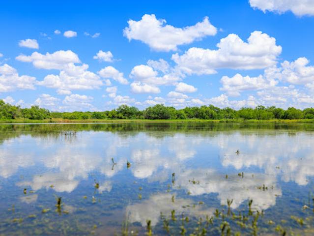 Farm for sale in Catarina, Texas
