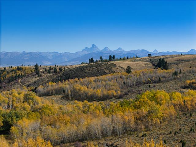 Farm for sale in Driggs, Idaho