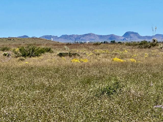 Farm for sale in Marfa, Texas