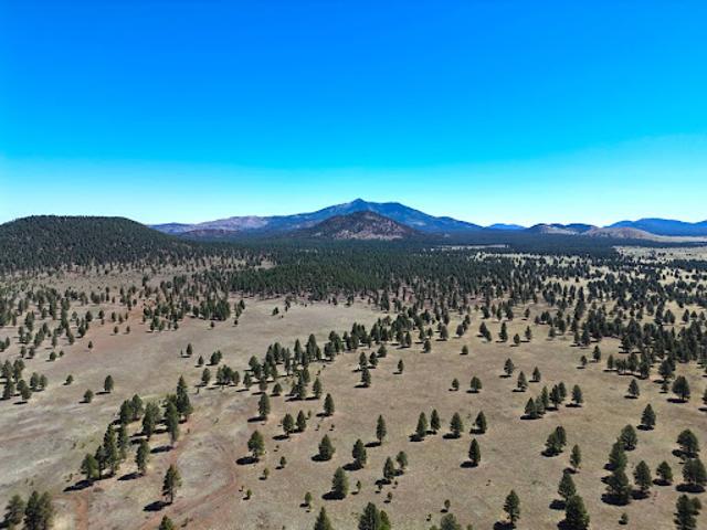 Farm for sale in Arizona