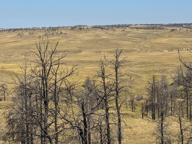 Farm for sale in Hysham, Montana