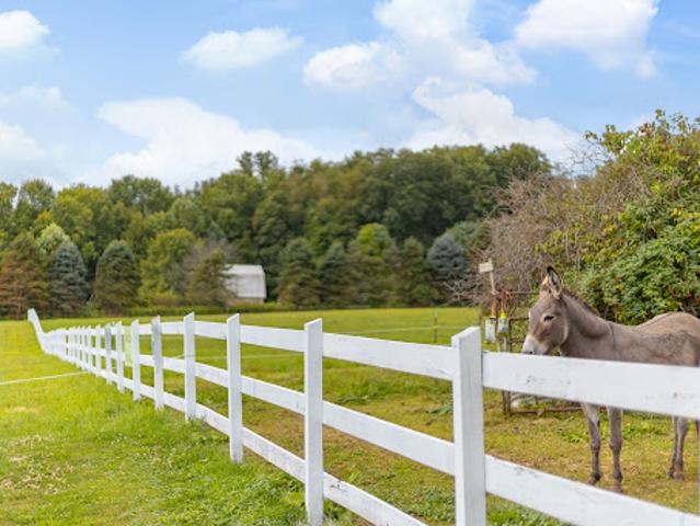Farm for sale in Mercer, Pennsylvania