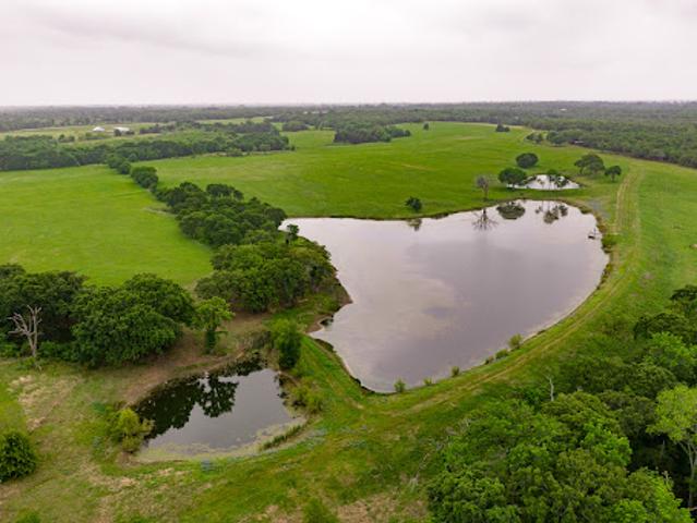 Farm for sale in Navarro, Texas