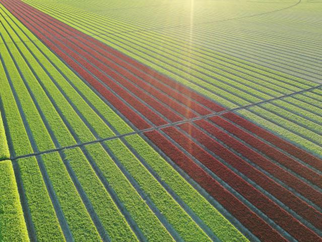 Farm for sale in La Pryor, Texas