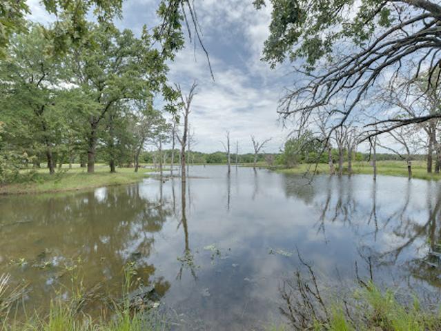 Farm for sale in Fannin, Texas