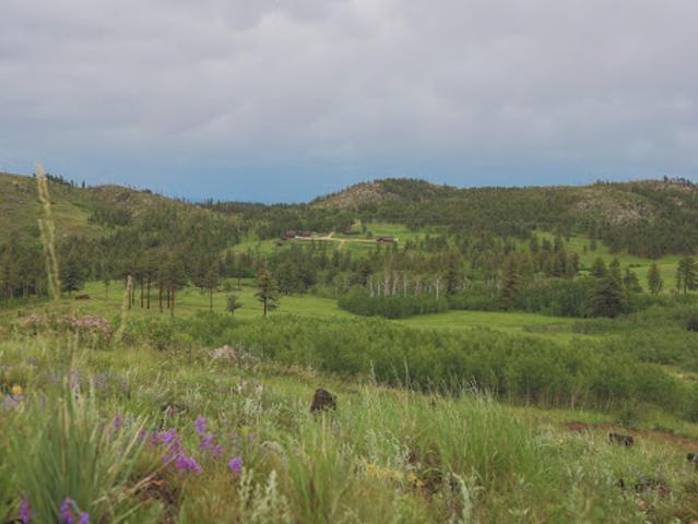 Farm for sale in Colorado