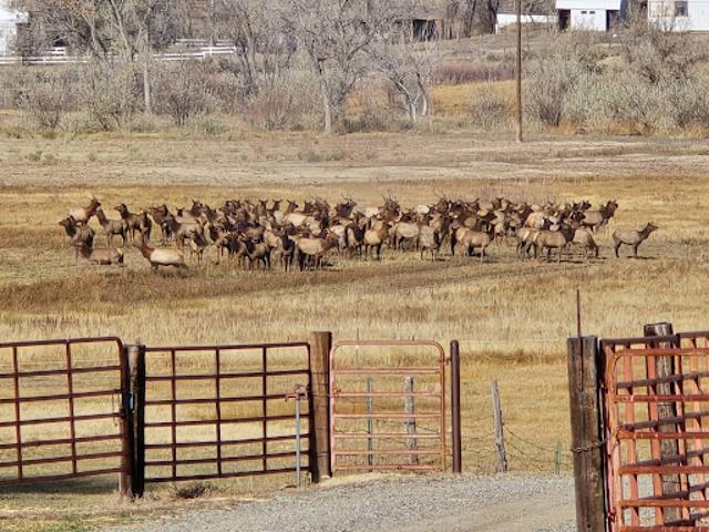 Farm for sale in Paonia, Colorado