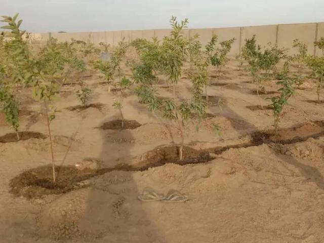 Land for sale in North Waziristan, Federally Administered Tribal Areas fata