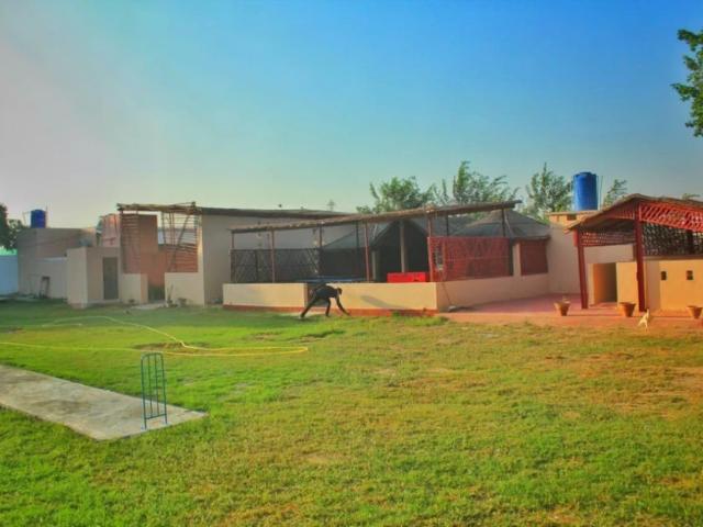 House for rent in North Waziristan, Federally Administered Tribal Areas fata