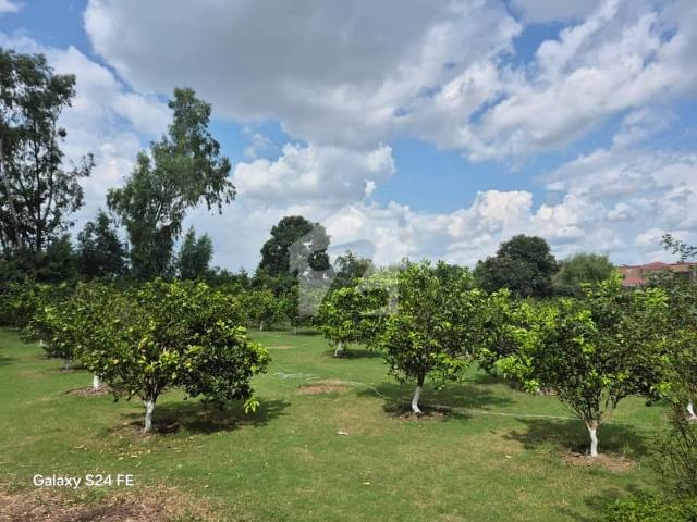 Property for sale in اسلام آباد, زون 1