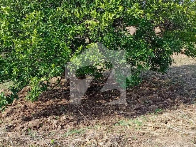 Property for sale in Taxila, Islamabad Capital Territory