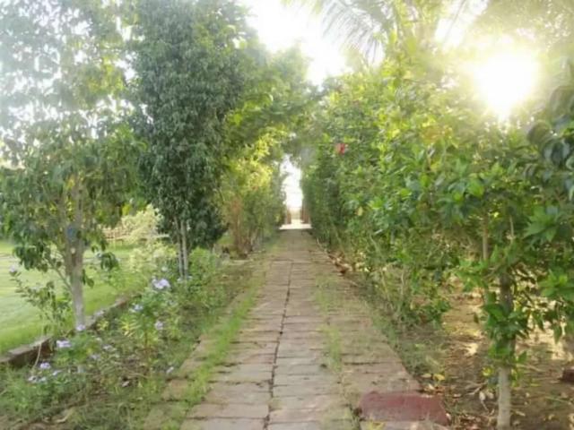 Land for sale in پی این ڈبلیو ایچ ایس