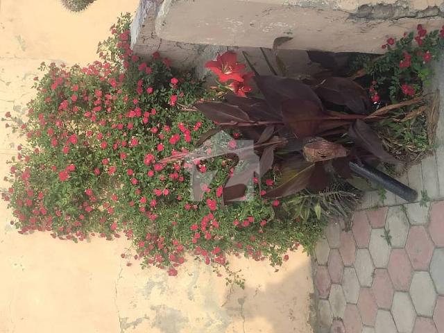 Property for sale in Islamabad