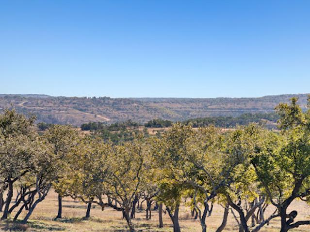 Farm for sale in Dripping Springs, Texas