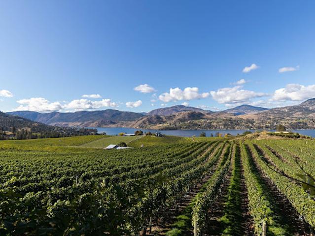 House for sale in Okanagan Falls, British Columbia