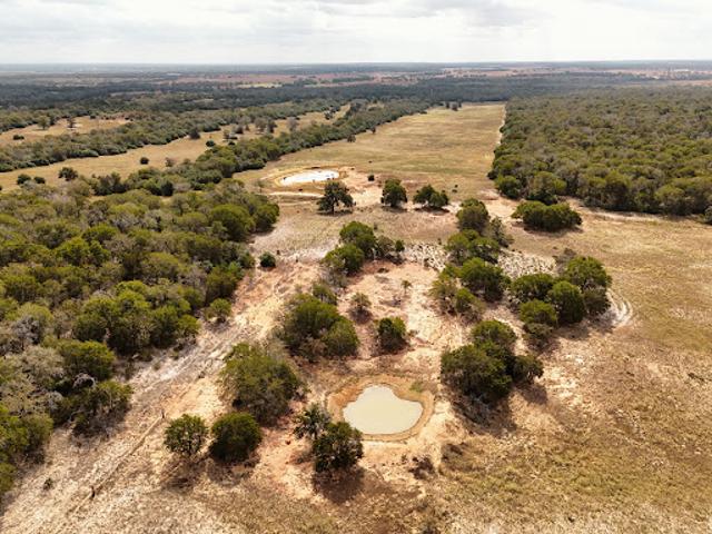 Farm for sale in Luling, Caldwell County