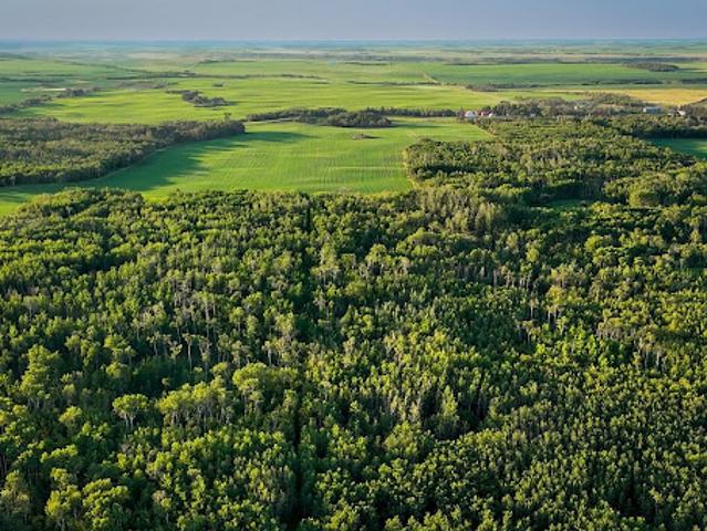 House for sale in Rosalind, Alberta