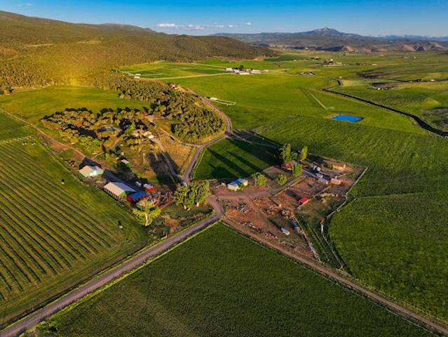Farm for sale in Montrose, Montrose County