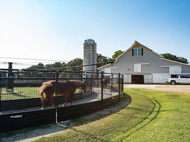 Farm for sale in Rougemont, North Carolina