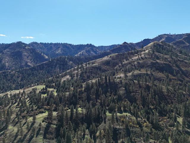 Farm for sale in Cottonwood, Idaho