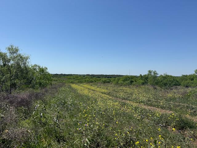 Commercial Land for sale in Dale Commercial Land for sale in Dale