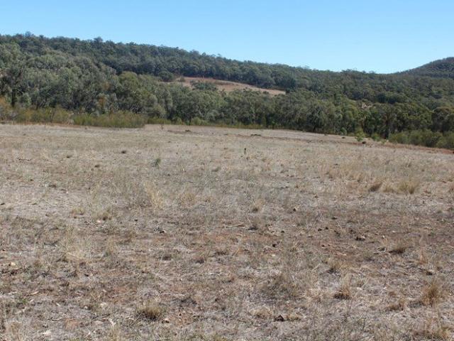 Cottage for sale in Bellata, New South Wales