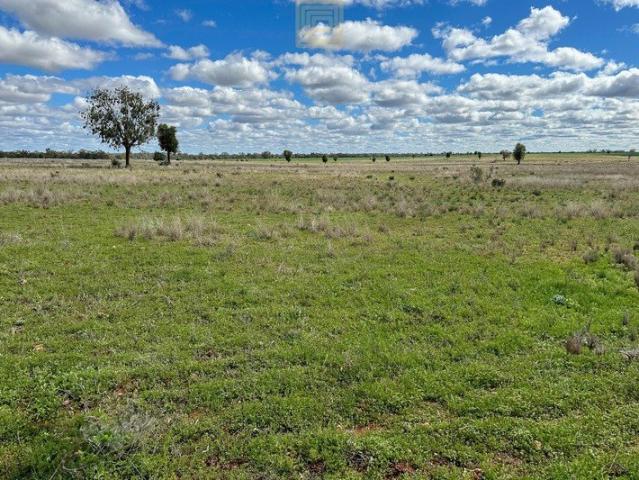 Cottage for sale in Bogan, New South Wales