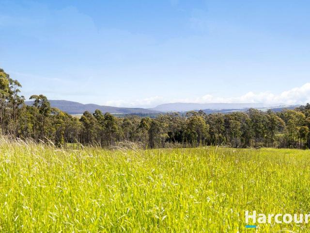 Land for sale in Parkham, Tasmania
