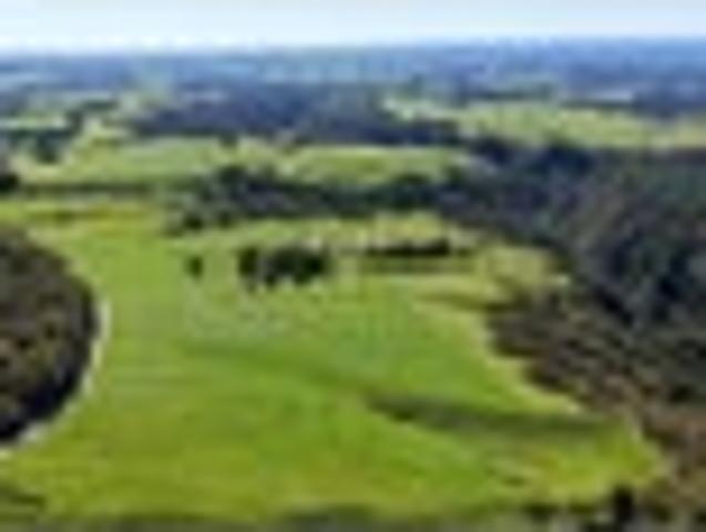 Land for sale in Bay Of Plenty