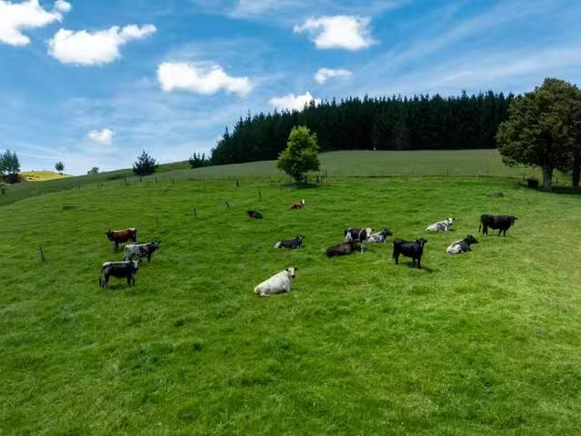House for sale in Northland