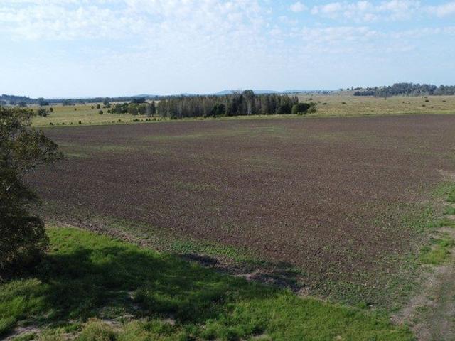Land for sale in Codrington, Richmond Valley Council