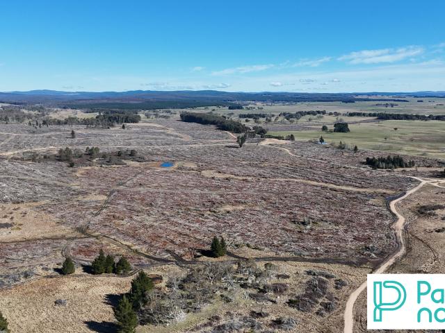 Cottage for sale in Bombala, New South Wales